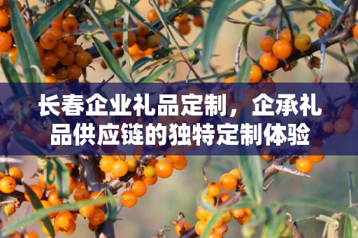 长春企业礼品定制，企承礼品供应链的独特定制体验